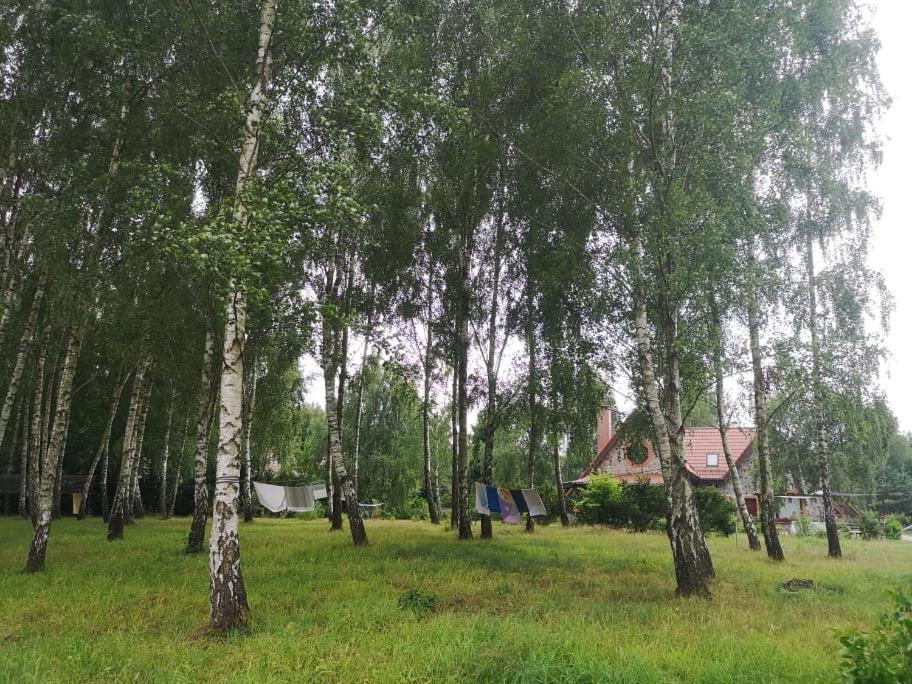 Ferienwohnung Brzozowy Zaulek Bydlino Exterior foto